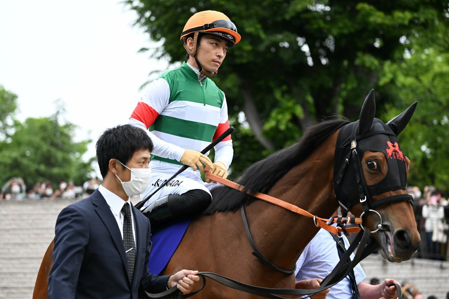川田将雅とレイパパレ