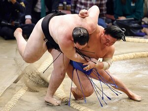 藤ノ川「負けず嫌いの幕内最年少。『早く横綱戦やりたいっす!』」