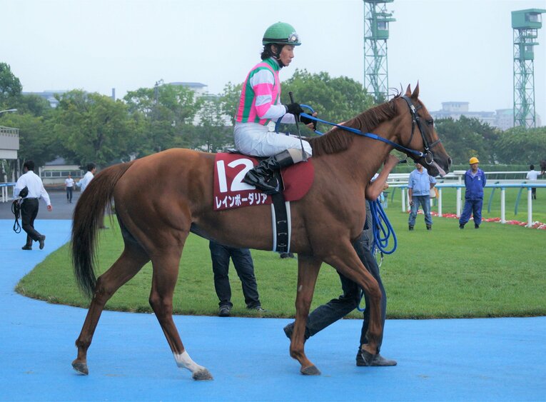 レインボーダリアと柴田善臣騎手　©Satoshi Hiramatsu