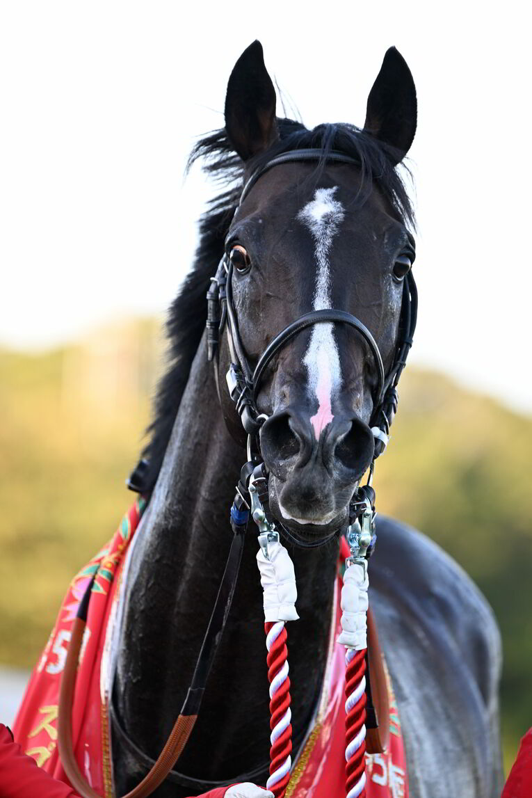 1番人気メイケイエールはなぜ不発に終わった？ 波乱のスプリンターズS、「すべての展開が味方した」ジャンダルムが生んだ“血のドラマ”(54)