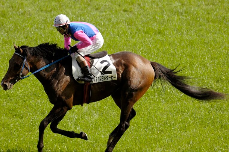 2006年の日本ダービーを制したメイショウサムソンと石橋守騎手　©Takuya Sugiyama