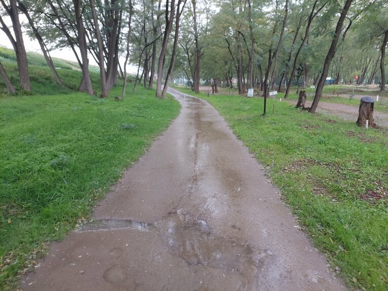 現在のチームも使っているというクロカンコースの一部。当初はこれほど整備はされていなかったという　©NumberWeb