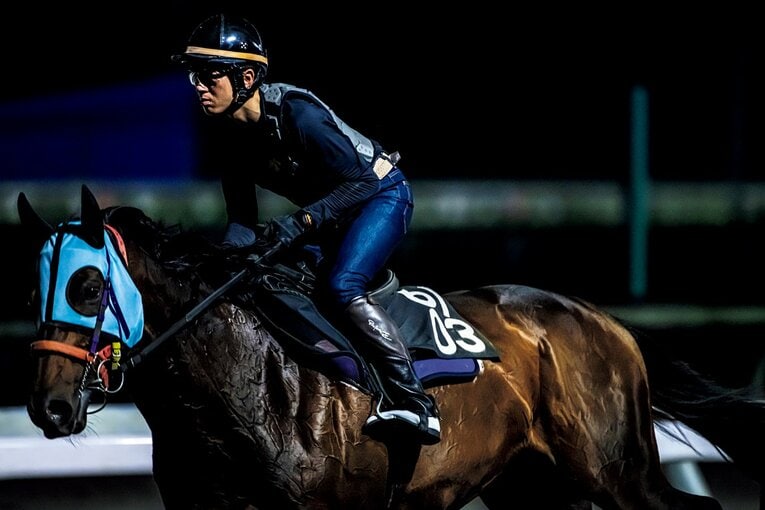 連日、午前3時から調教をこなす宮川。8月末のJRAワールドオールスタージョッキーズ出場が決まった　©︎Takuya Sugiyama