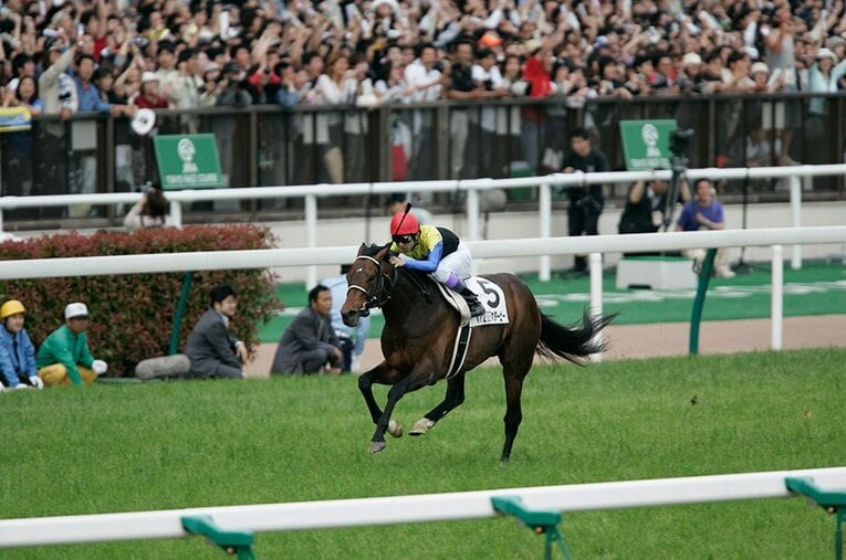 武豊も愛したディープインパクト。人間なら50代、飛ぶように逝く。(5) ／ photograph by Takuya Sugiyama