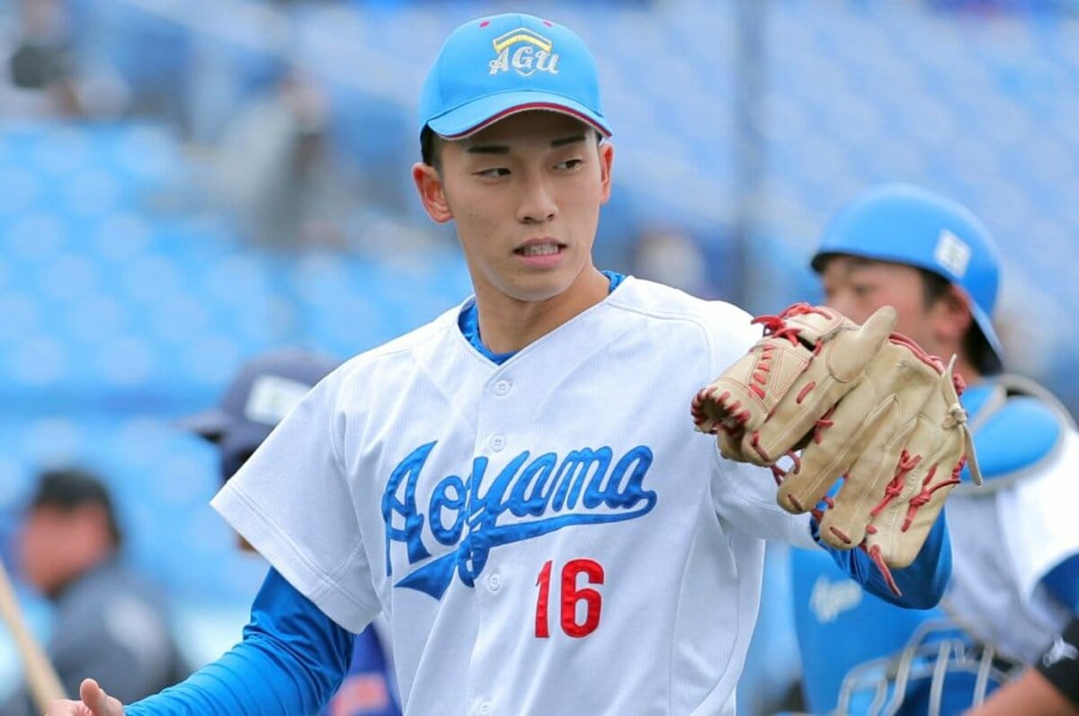 美しい 早稲田実業 グラコン1 実使用 高校野球 - 野球