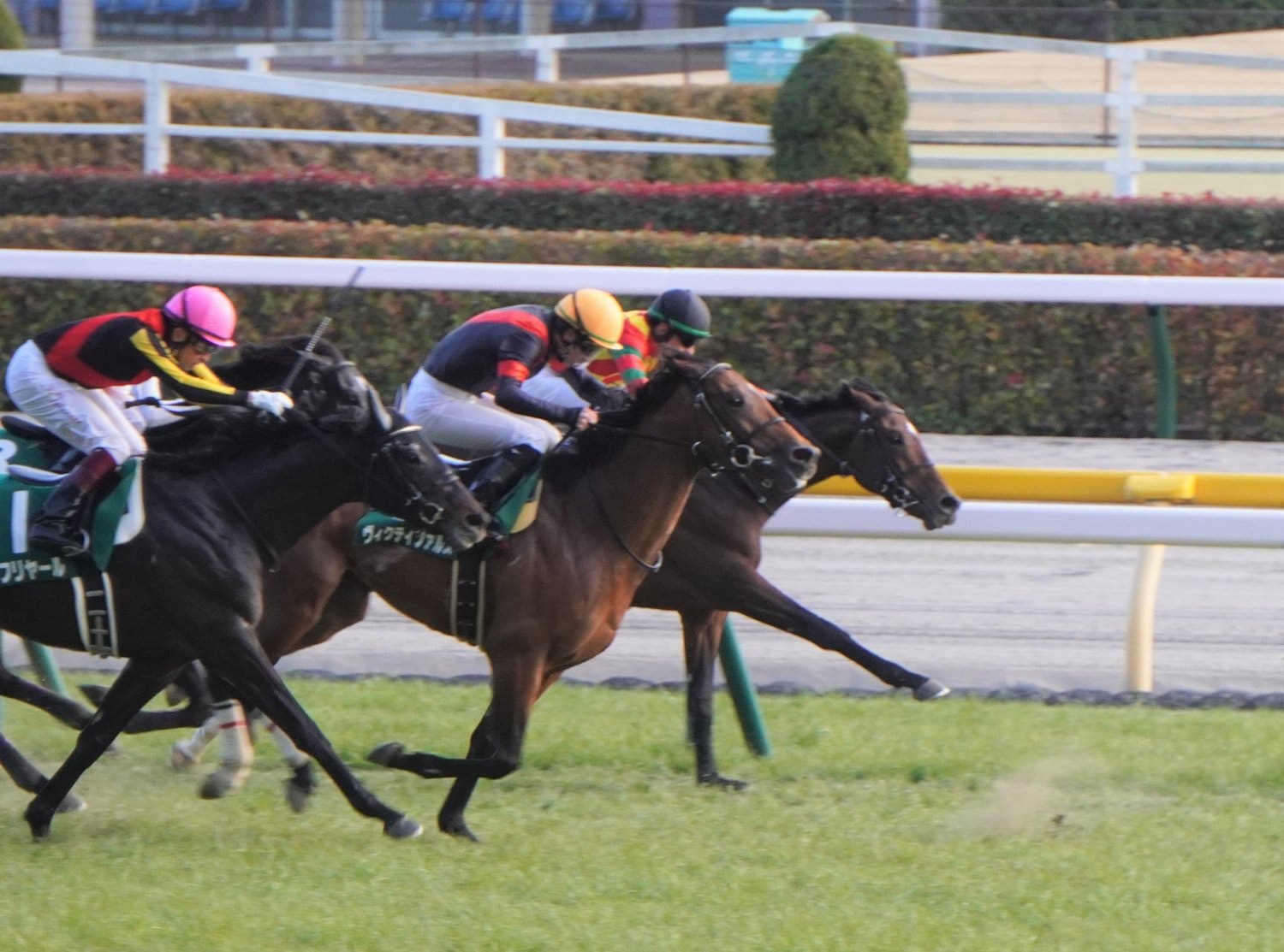 共同通信杯の2着争いは激戦だった