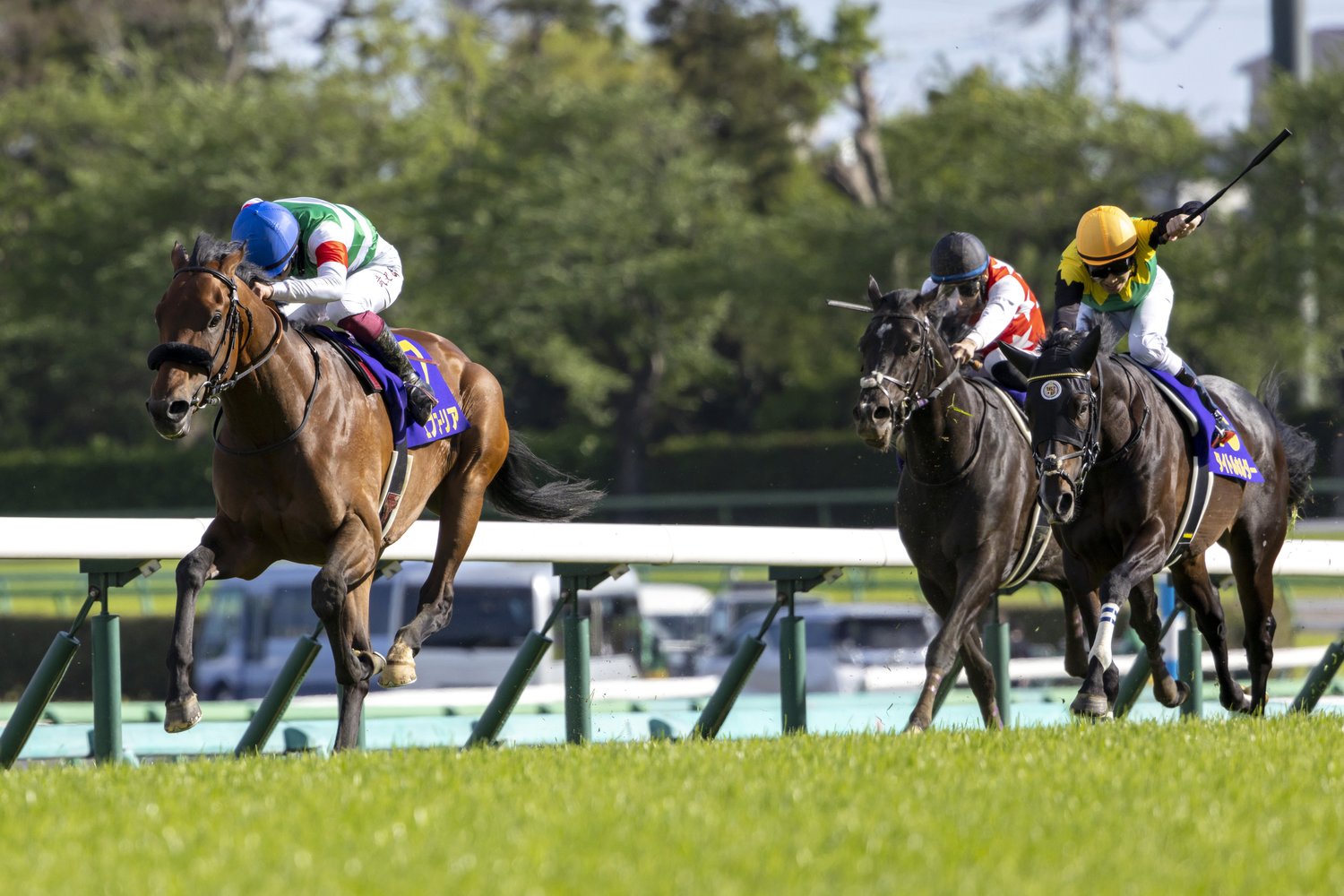 皐月賞のゴール前。左から、1着のエフフォーリア、3着のステラヴェローチェ、2着のタイトルホルダー ©Photostud