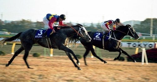 img_63f63ff02c5f61b3a34682fafd