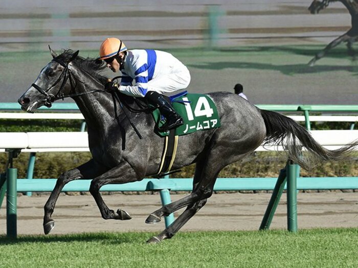 エリザベス女王杯はノームコア!騎手、牧場、厩舎の全てが追い風。<Number Web> photograph by NIKKAN SPORTS