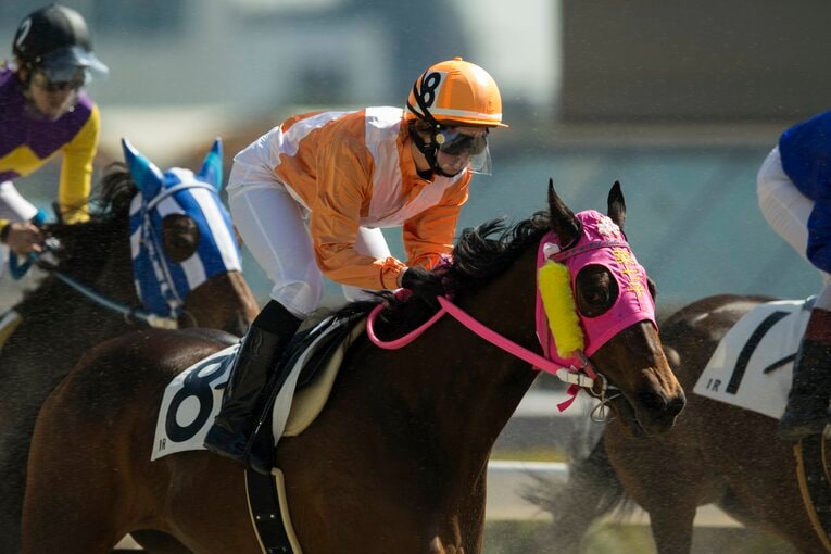 新人時代の藤田菜七子の騎乗フォーム　©Shiro Miyake