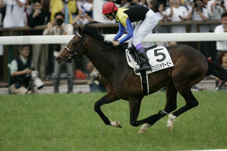 ディープインパクトと武豊　ⒸTakuya Sugiyama