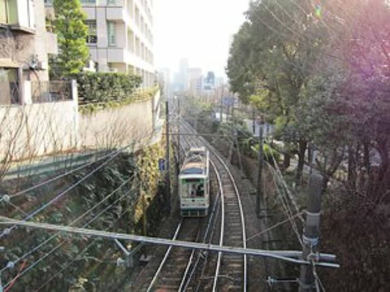 お花見シーズン直前ボタリング。ブームの「墓マイラー」をやってみた。(8)