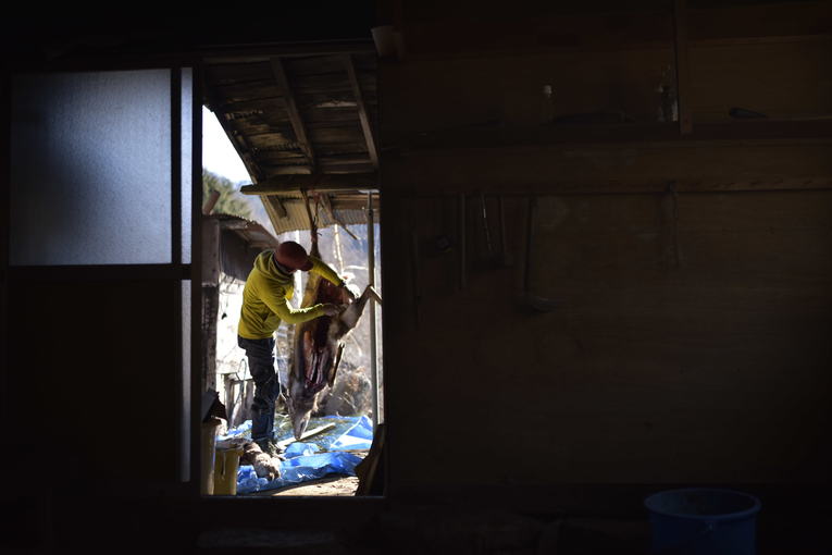 「山はお金がかからない」“サバイバル登山家”になって22年…なぜ服部文祥は廃村暮らし（電気なし、ガスなし、水道なし）を選んだか(22)