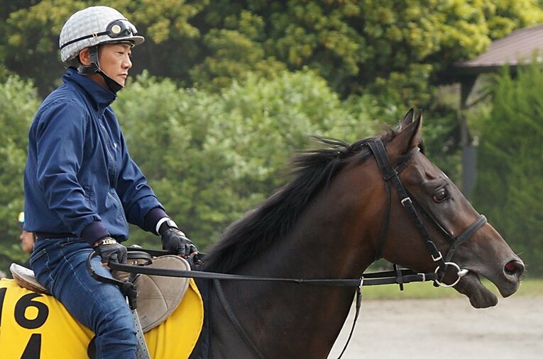間もなく50歳の誕生日を迎える田中勝春のジョッキー人生は波乱に満ちている ／ photograph by Satoshi Hiramatsu