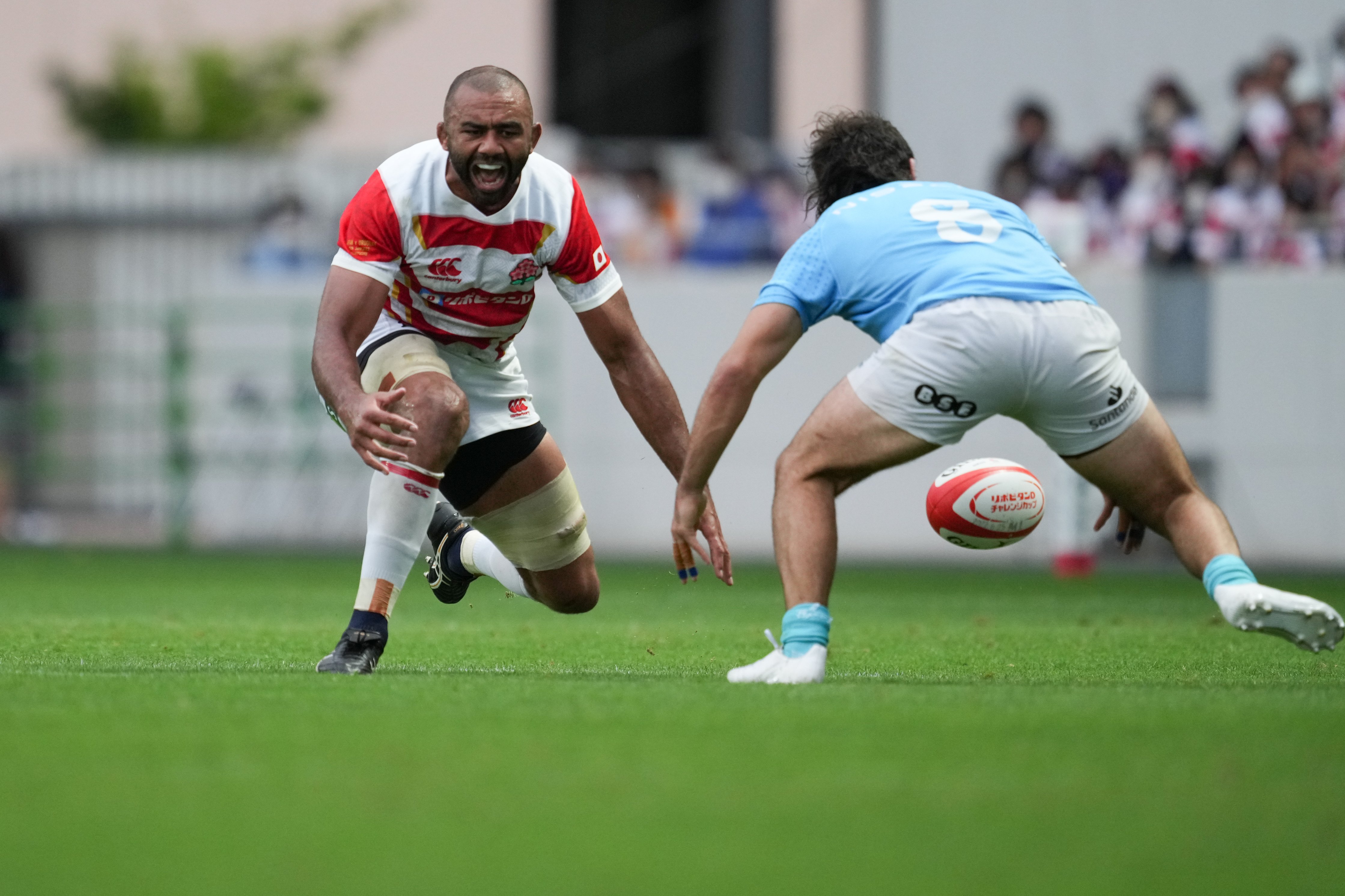 当然の完勝 ラグビー日本代表の次戦は世界2位フランス 注目は 荒々しさ が戻ってきたリーチマイケルと堀江翔太の 冷めた視点 Number Web 43対7 完勝である 日本代表は 来 ｄメニューニュース Nttドコモ