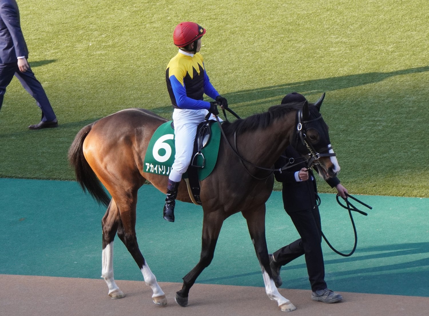 前走デイリー杯クイーンCでのアカイトリノムスメ