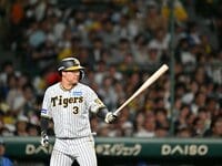 ちょっと異常すぎる」プロ野球“バット折れすぎ”問題の真相「根元