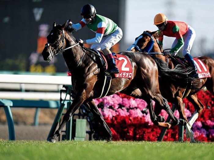 ＜ダービー初制覇に挑む＞クリストフ・ルメール＆レイデオロ「ダービーが、一番勝ちたいレースです」＜Number Web＞ photograph by Keiji Ishikawa