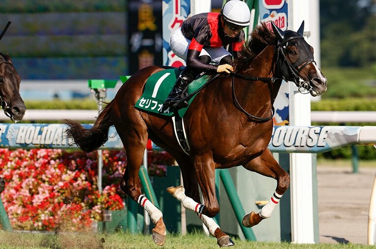 2つの2歳重賞を制し、NHKマイルカップで初のGI獲りを狙うセリフォス ／ photograph by Photostud