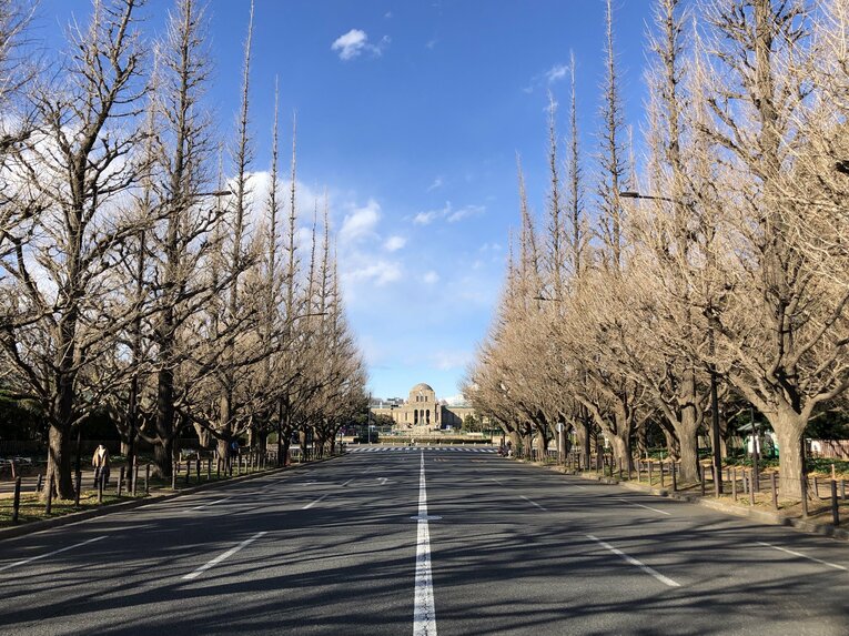 秋には観光客で賑わう銀杏並木の奥に草野球の聖地がある　photograph by Kenichiro Tazawa