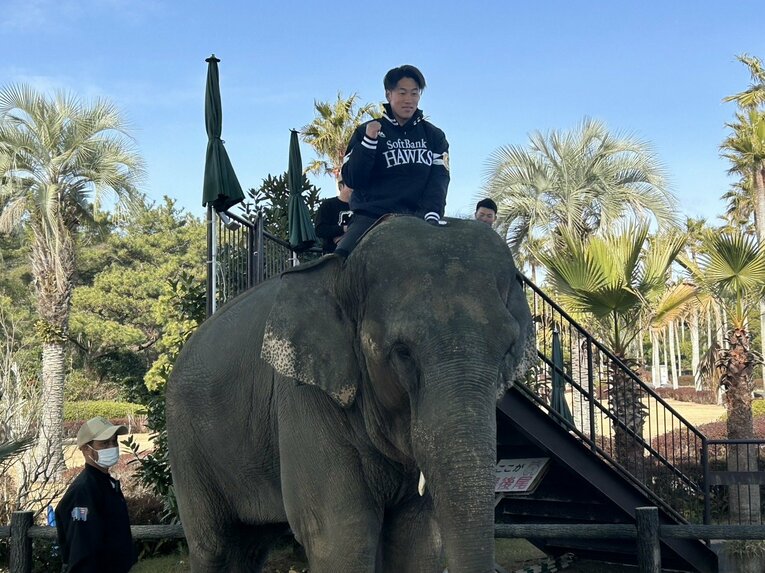 象にまたがるソフトバンク選手　©Kotaro Tajiri