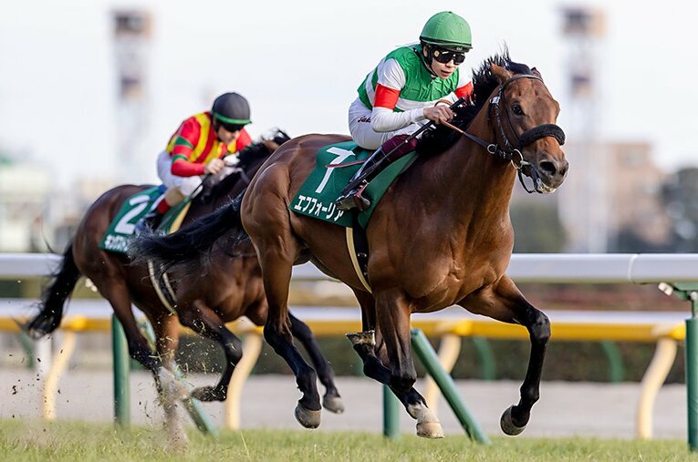 共同通信杯で見事な走りを見せたエフフォーリア。雨予報の皐月賞では道悪を攻略できるか ／ photograph by Photostud