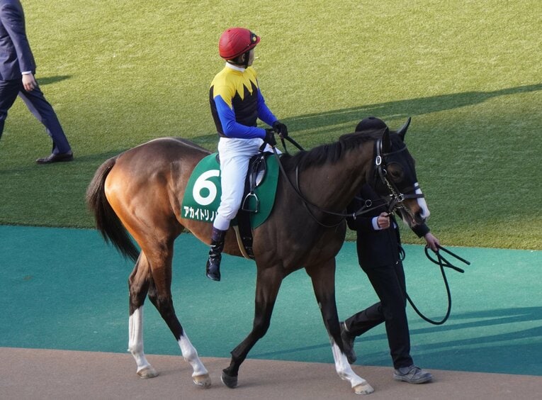 前走デイリー杯クイーンCでのアカイトリノムスメ