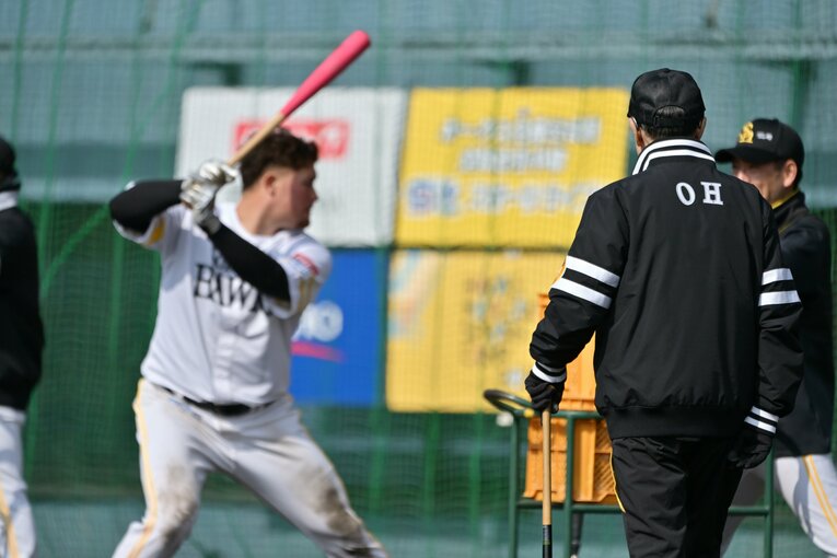 筆者が見た異変…じつはキャンプ中に。実際の様子　©Hideki Sugiyama