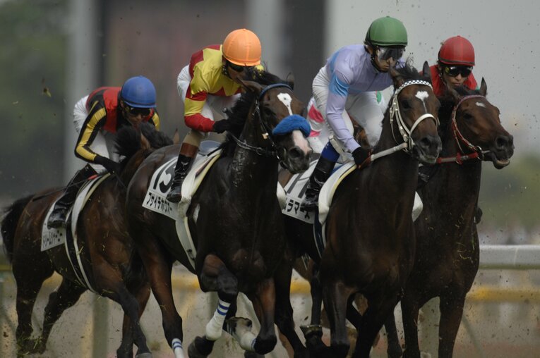 ダービーで圧倒的1番人気に推されたフサイチホウオーだが、牝馬ウオッカの7着に敗れた　©Keiji Ishikawa