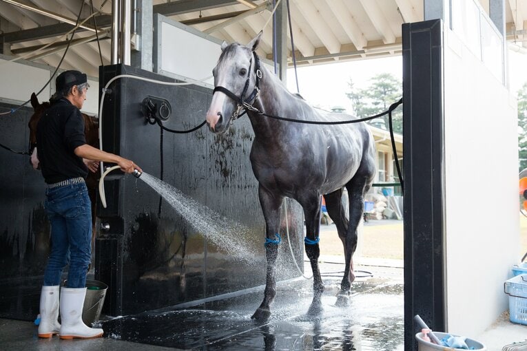 気持ちよさそうにシャワーを浴びるゴールドシップ　©Getty Images