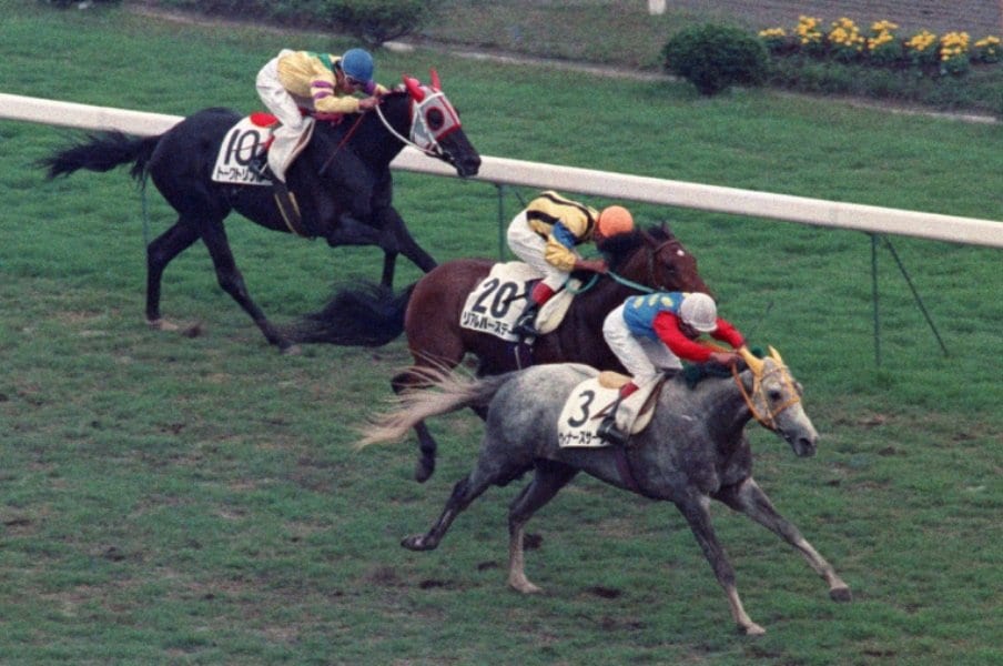 史上唯一“芦毛のダービー馬”ウィナーズサークルは引退後に…? “東大”で過ごした幸せな晩年「学生さんにとってもありがたい馬でした」<Number Web> photograph by Sankei Shimbun
