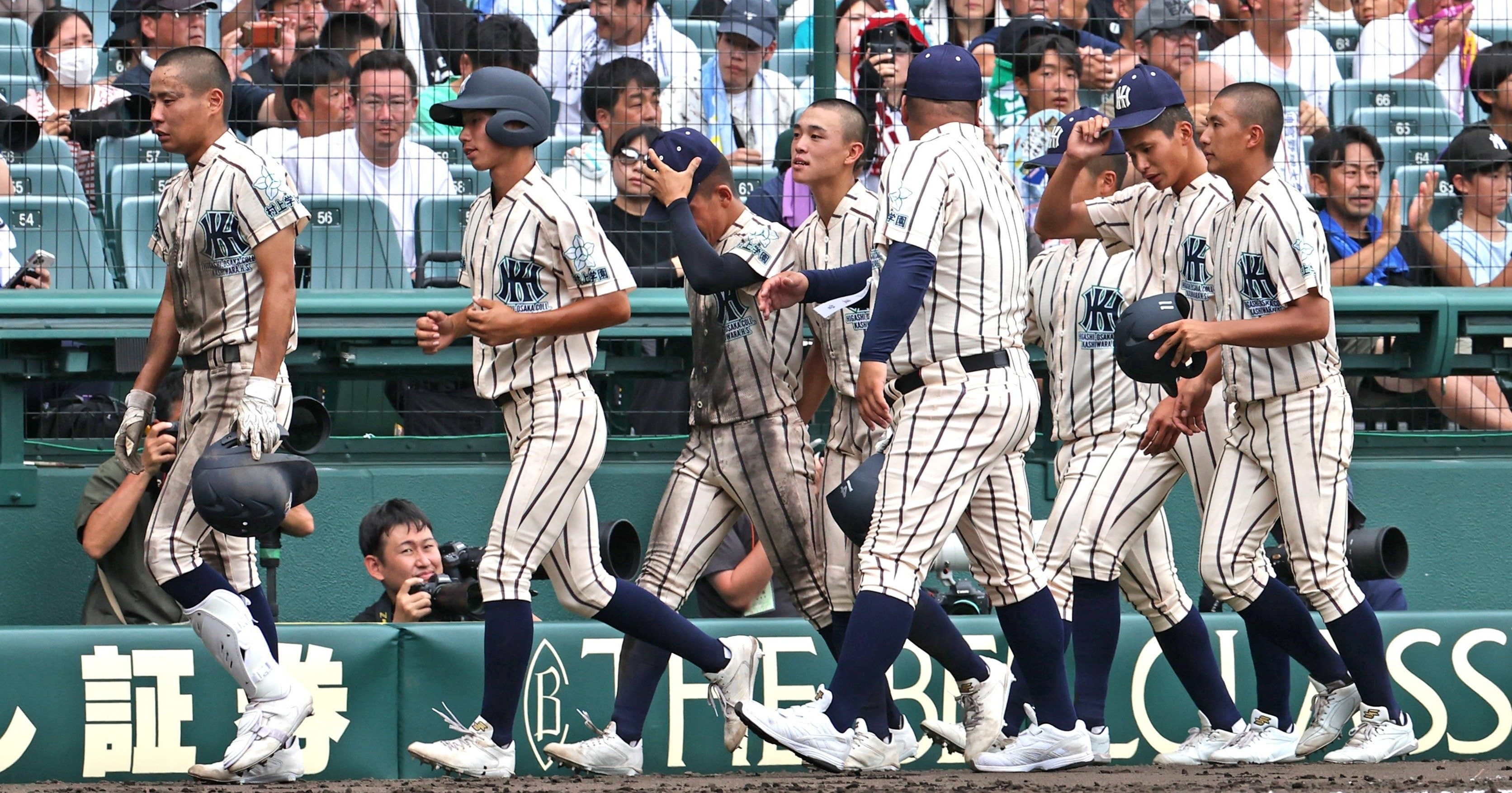 img_65d0d40d4725ce6647066974f7