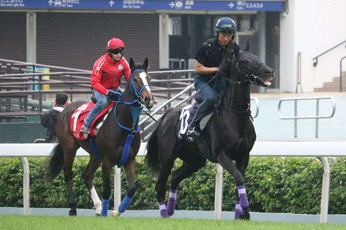 香港カップの総賞金は約4億円 ディアドラら日本馬もチャンス 競馬 Number Web ナンバー