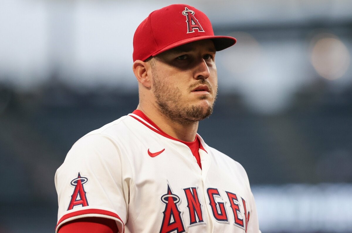 img_65d442f2d54614d4a696432b8c