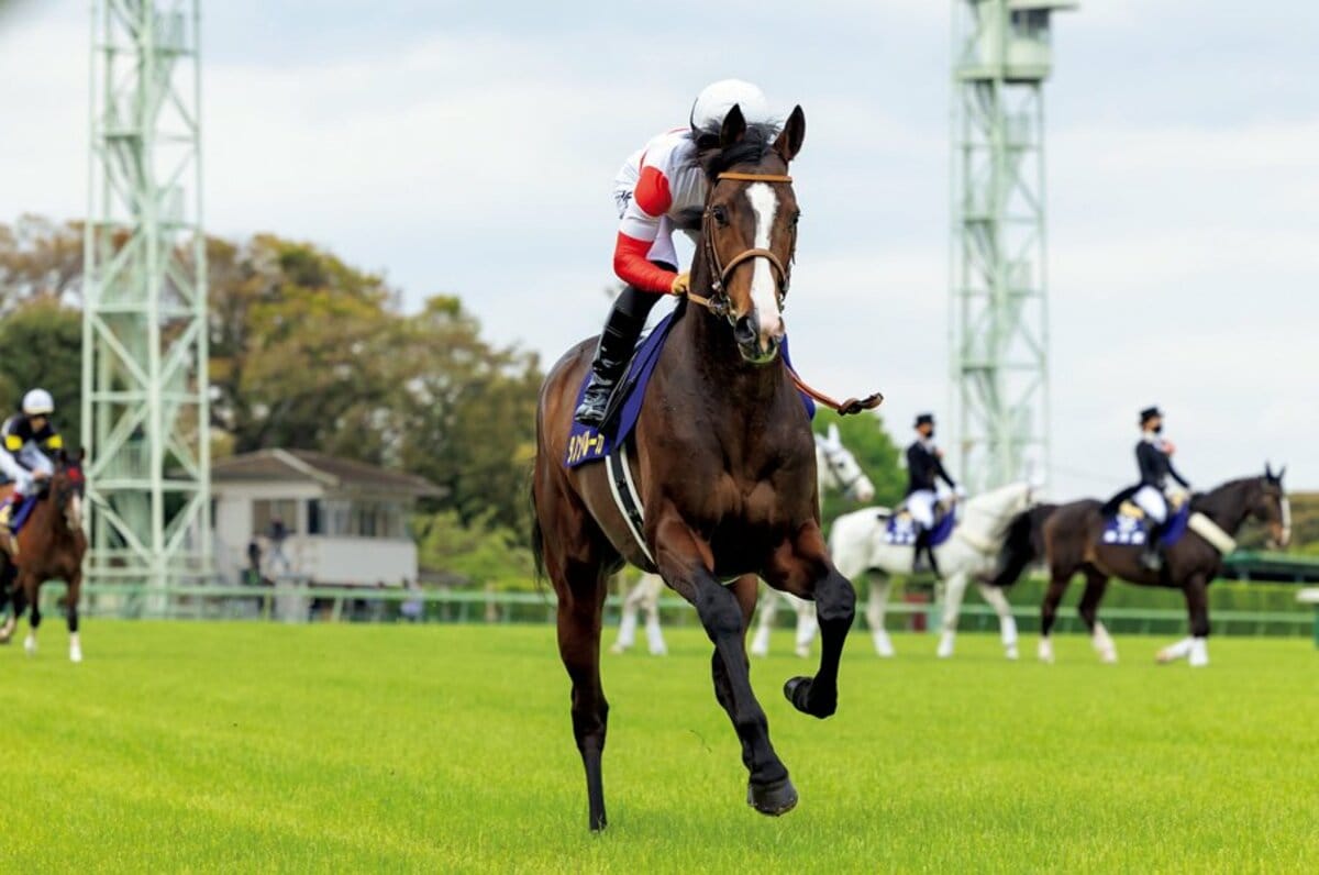 名匠が明かす4強の勝算 3 ダノンベルーガ 知略が生み出す 究極の感動 競馬 Number Web ナンバー