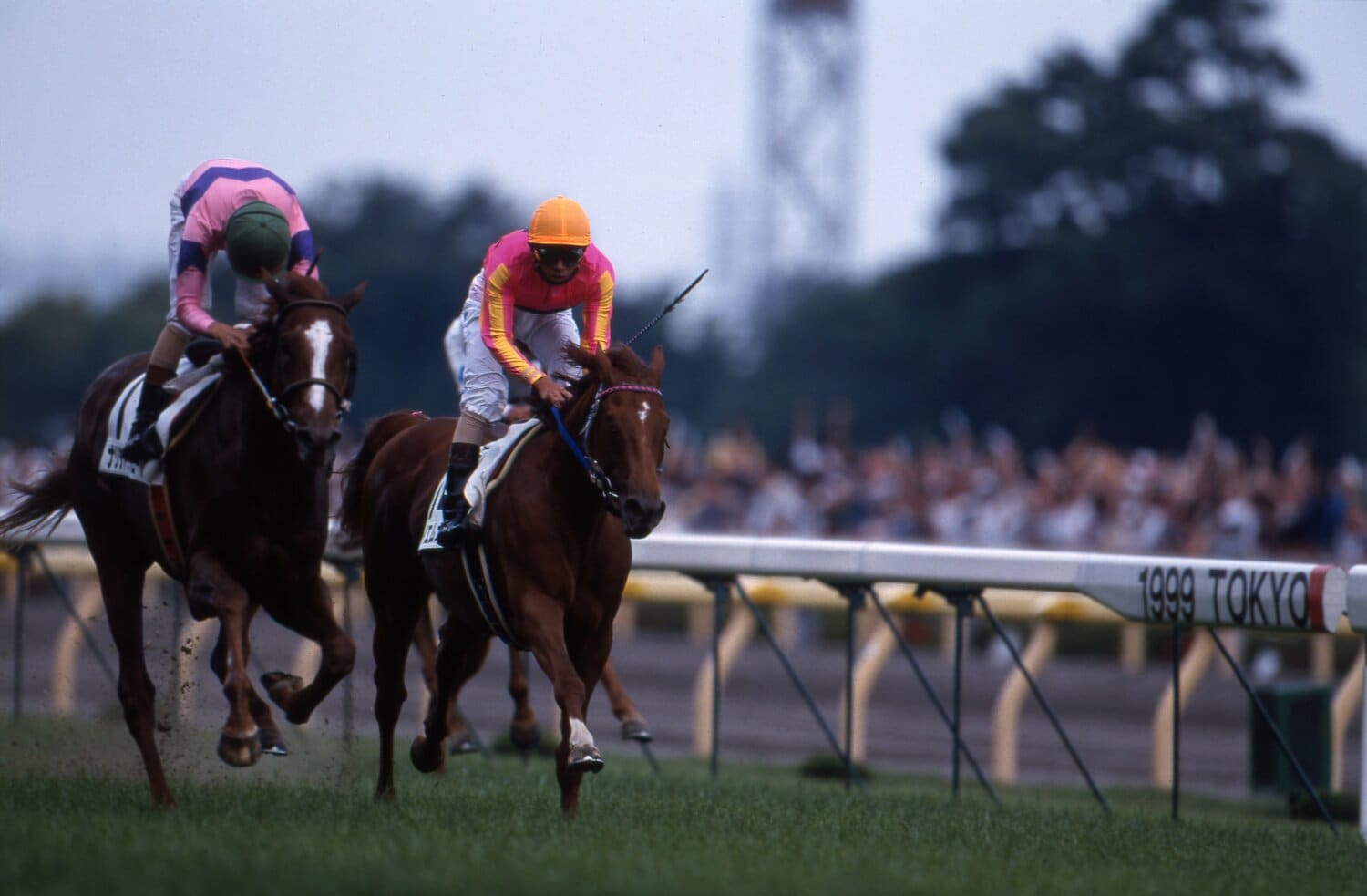 1999年ダービーでも最後の直線で抜け出し先頭を走ったナリタトップロード（左）。しかし…　©Tomohiko Hayashi