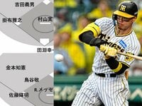 希少 谷繁元信 日本記録.3018試合出場.7／28.実使用 直筆サイン公式球 Amazon.co.jp: 谷繁元信 3018試合出場 7／28 日本記録 実