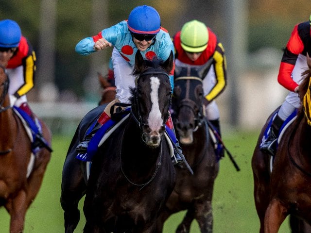 天皇賞秋　ミニゼッケン　イクイノックス　パンサラッサ　ジャックドール他おまけ競馬 天皇賞秋 ミニゼッケン イクイノックス パンサラッサ ジャック