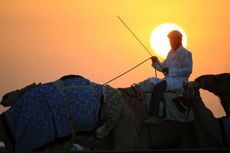 ラクダレース　©Bungeishunju