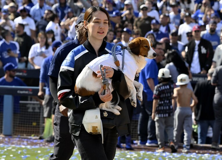 真美子夫人の抱っこでくつろいだ表情のデコピン　©Getty Images