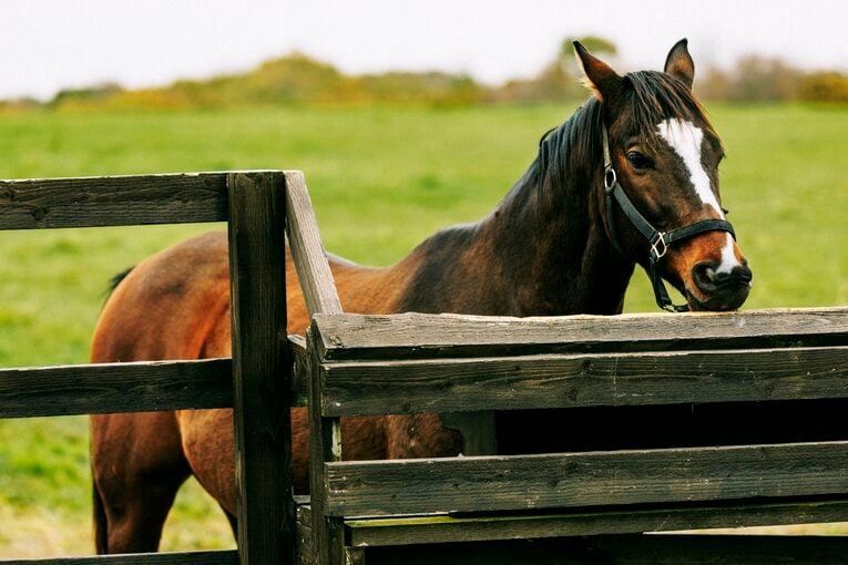 グランドリビエール　©Kiichi Matsumoto