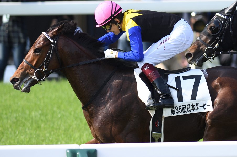 《現役馬が急死》ワグネリアンの未来を奪った“内臓疾患”はなぜ競走馬にとって危険なのか?「ホースマンは常にリスクに向き合っている」<Number Web> photograph by Keiji Ishikawa