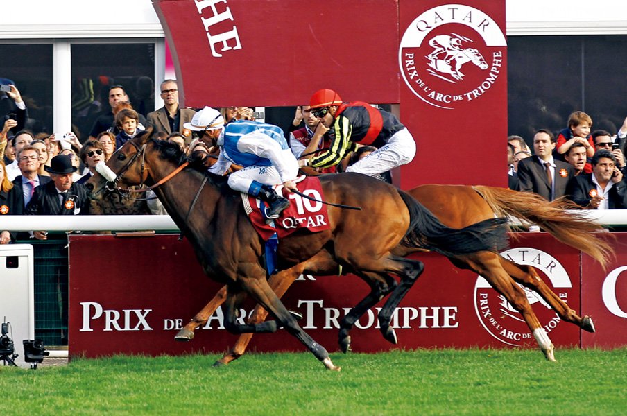 海を渡ったダービー馬たち「関テレ・岡安アナの凱旋門賞実況秘話」<Number Web> photograph by AFLO