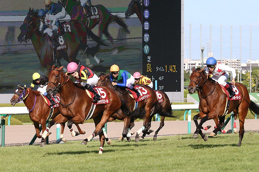 混戦の秋華賞はコース適性が勝負。トーセンビクトリーのセンスが光る?<Number Web> photograph by NIKKAN SPORTS