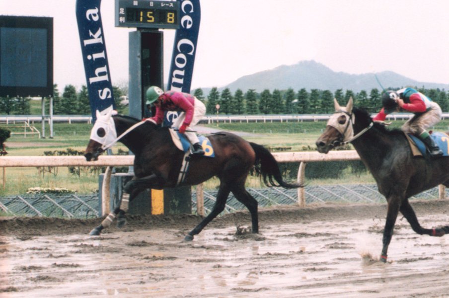 29連勝! 伝説の名馬を生んだのに13年連続赤字で…“18年前に消えた競馬場”、栃木県で愛された「足利競馬場」今は何がある?<Number Web> photograph by KYODO
