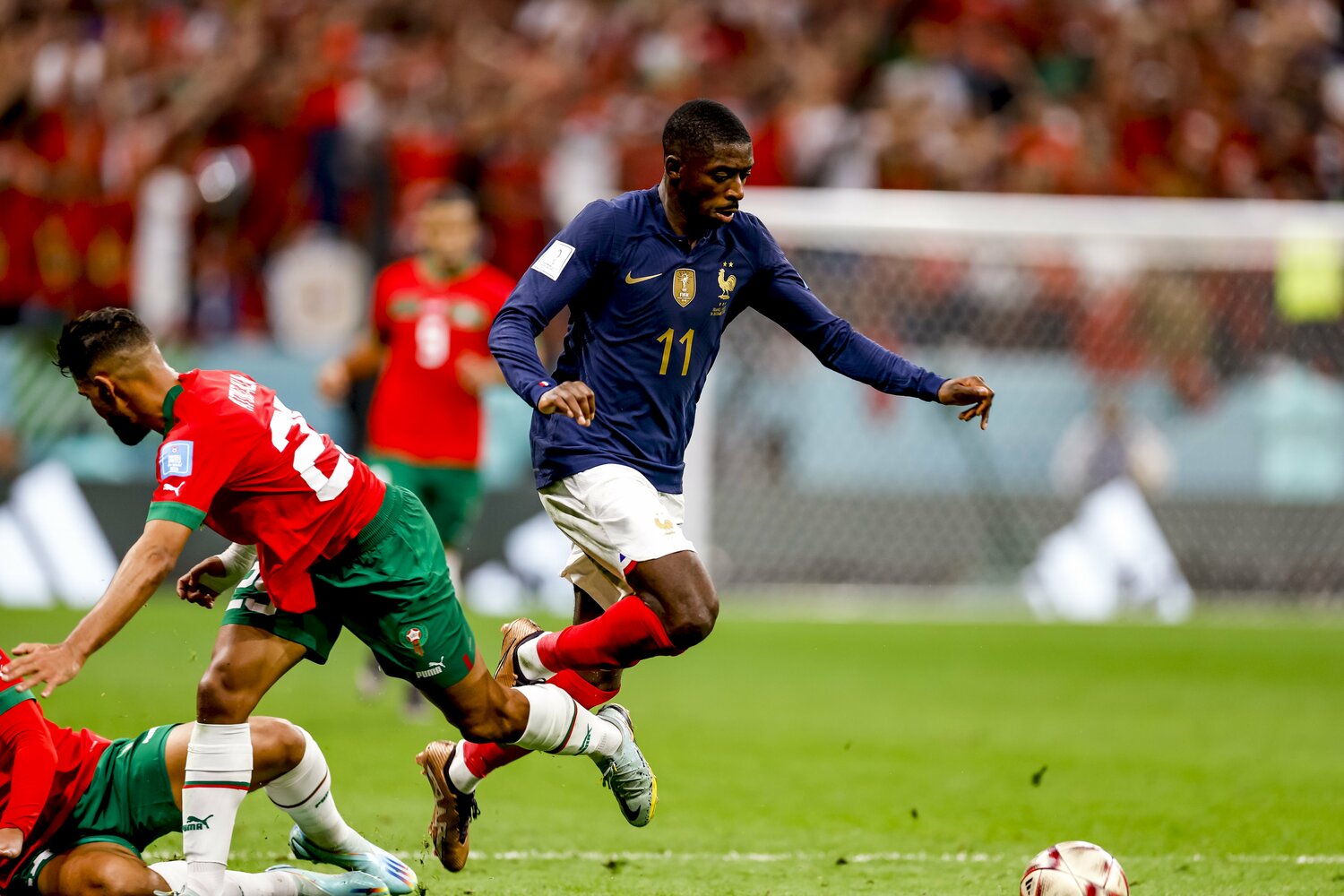 ©Kiichi Matsumoto/JMPA