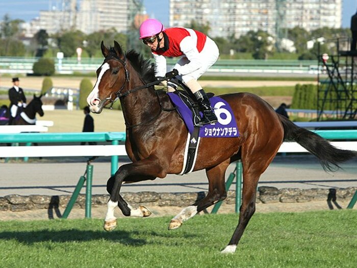 牡馬は大混戦、牝馬は一強か!?2015年のクラシックを占う。<Number Web> photograph by AFLO