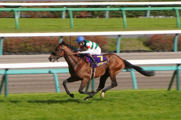 シャフリヤール・藤原英昭師がダービーで直線の“想定外”に顔をしかめたワケ「『あちゃ～』って思いました」(7)