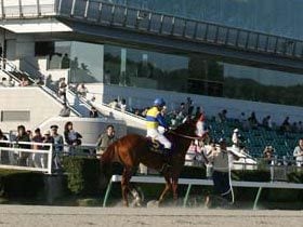 政治に翻弄される、「地方競馬の優等生」。