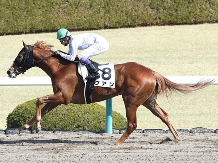 豊と幸四郎、武兄弟の適度な距離感。兄の背を追う立場から、押す立場へ。＜Number Web＞ photograph by NIKKAN SPORTS